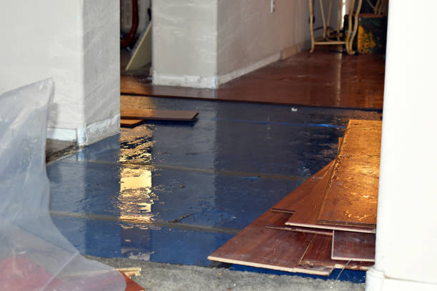 Professional Basement Flood Cleanup technician working in Edinburg, PA