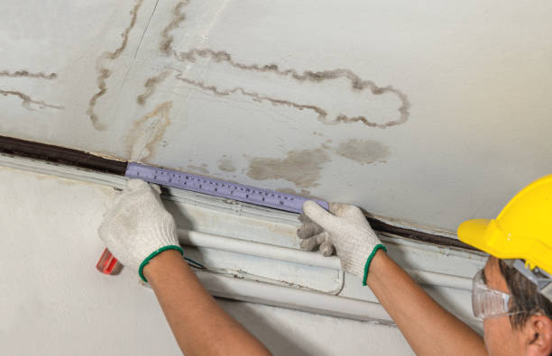 Reliable Basement Flood Cleanup contractor in Edinburg, PA by Aqua Guard Water Damage